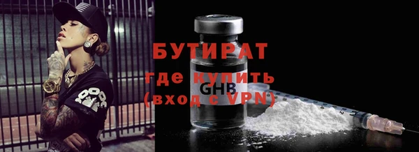 шишки Анива