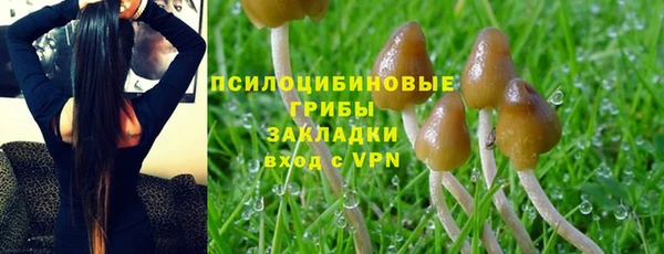 ГАЛЛЮЦИНОГЕННЫЕ ГРИБЫ Ладушкин