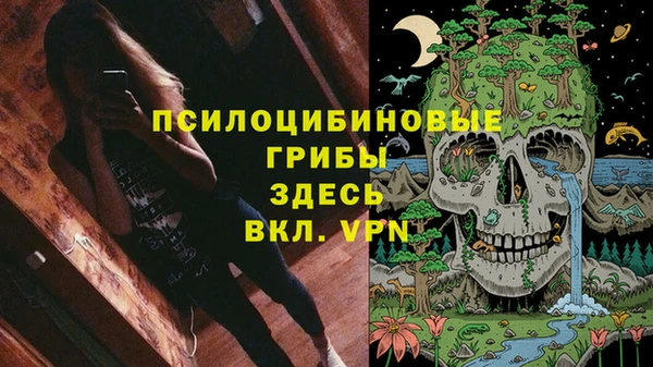 мдма Лагань