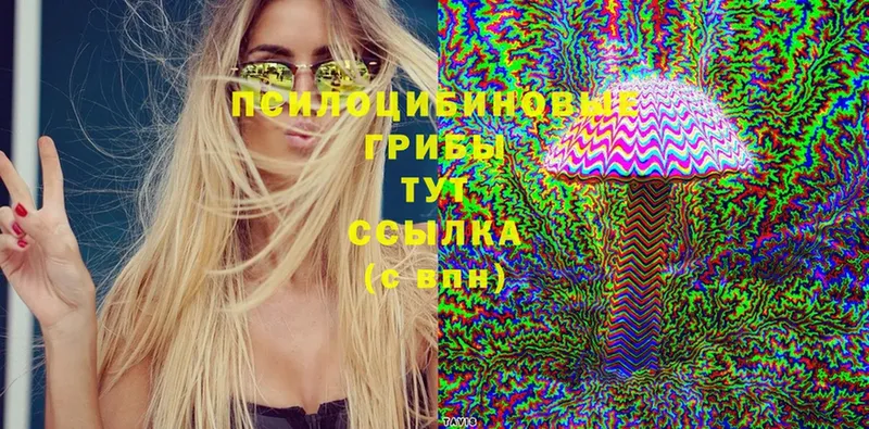 omg вход  Липки  Галлюциногенные грибы Magic Shrooms 